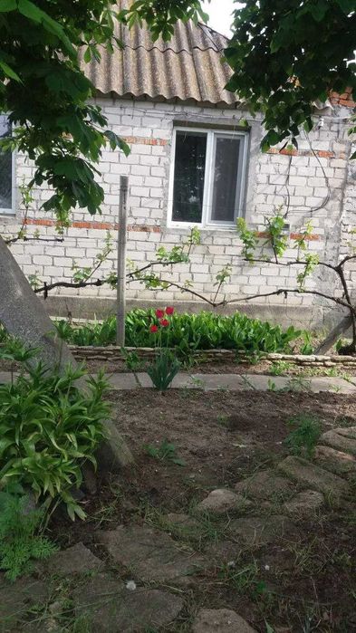 Продам дом Рыбаковке