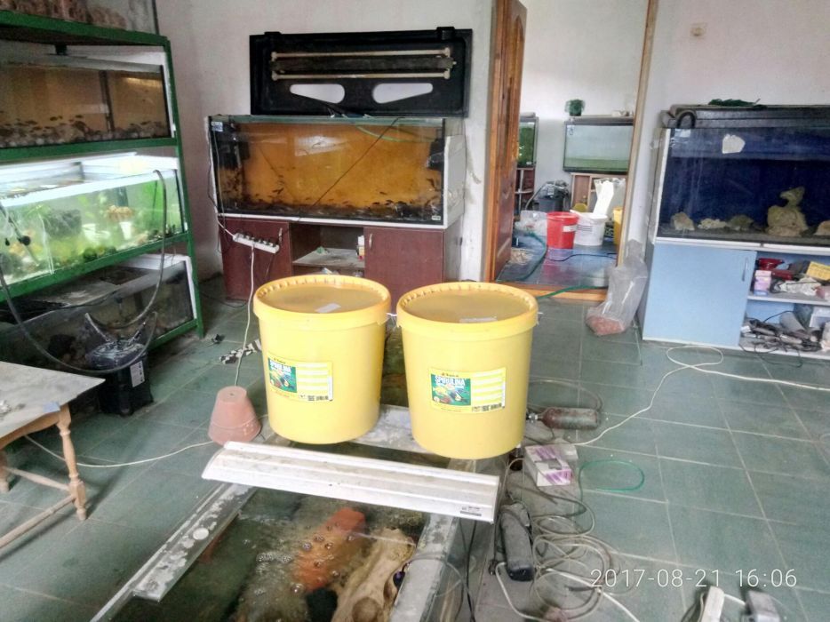 Корм для рибок з спіруліною 36процентів