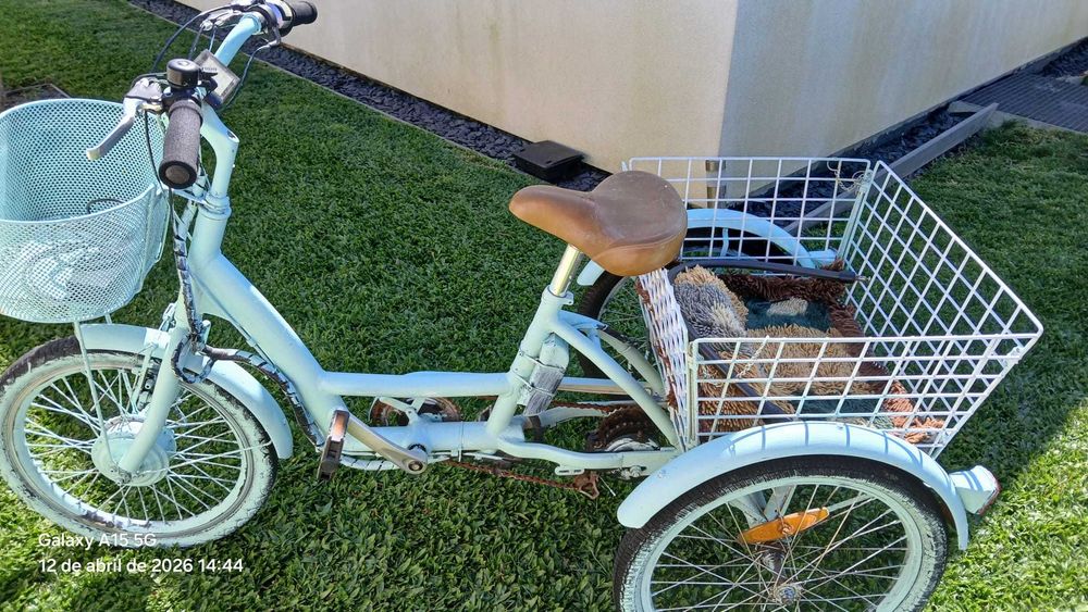 Bicicleta de 3 rodas elétrica/Triciclo elétrico