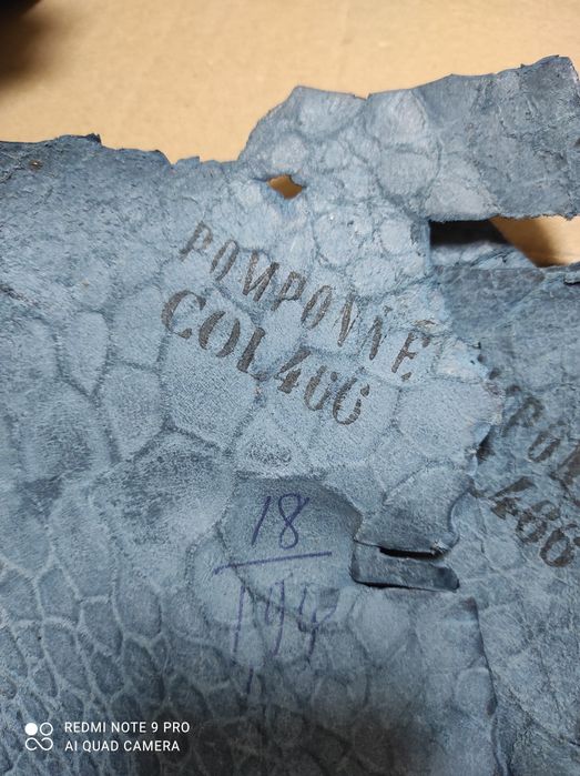 Шматки шкіри МорсьоїЇ  ЧЕРЕПАХИ