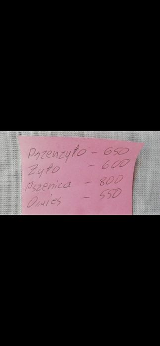 Zboże: pszenżyto, żyto, pszenica, owies