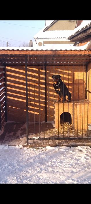Вольєр для собаки