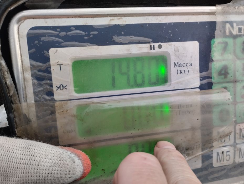 Сіно солома не дорого