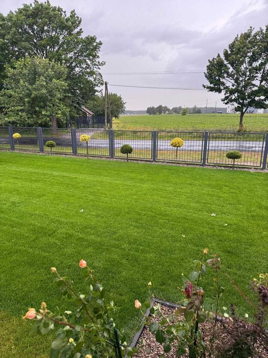 Trawa Z Rolki / PRODUCENT / Transport