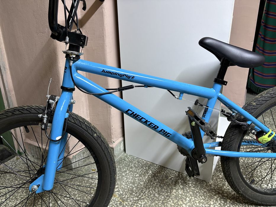 BMX CHecker Pig 20’
