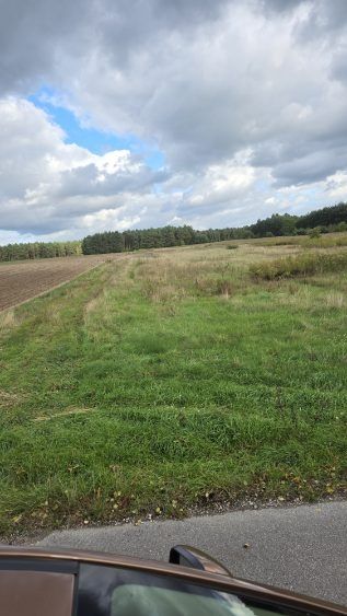 Sprzedam działkę budowlaną o pow. 1.5 ha w miejscowości Krępa