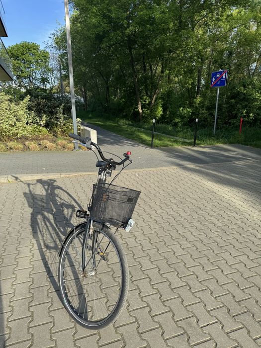 Rower trekkingowy Rabeneick