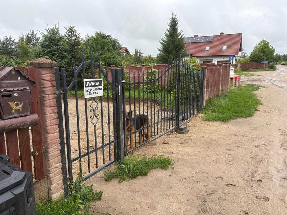 Sprzedam ogrodzenie wraz z bramą