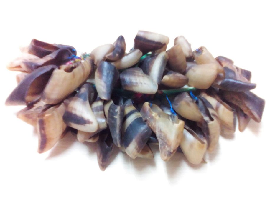 Goat Claw Sauce.64286586425859123