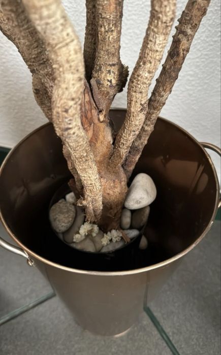 Cachepot decorativo