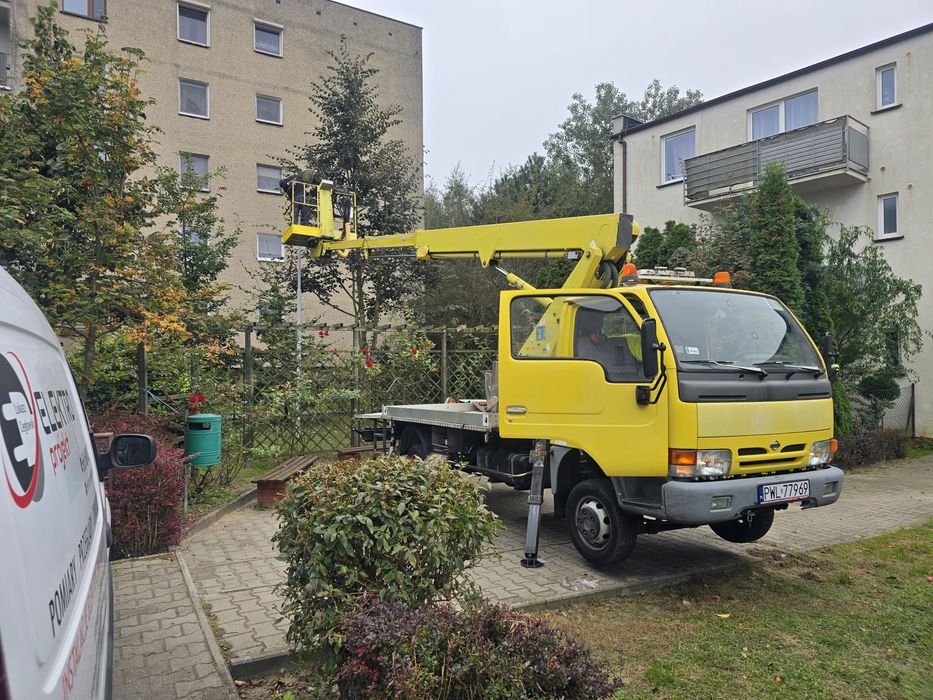 Wycinki drzew oraz pracę ogrodnicze