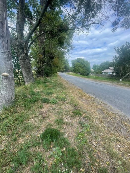 Продається земельна ділянка для будівництва в с. Ворсівка