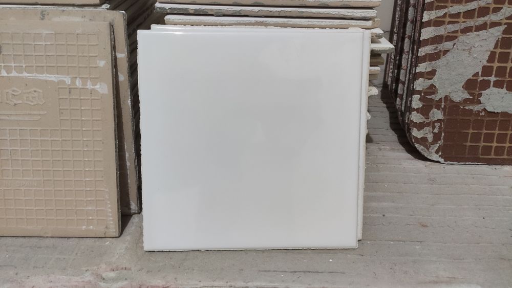 Azulejos brancos Roca 20x20