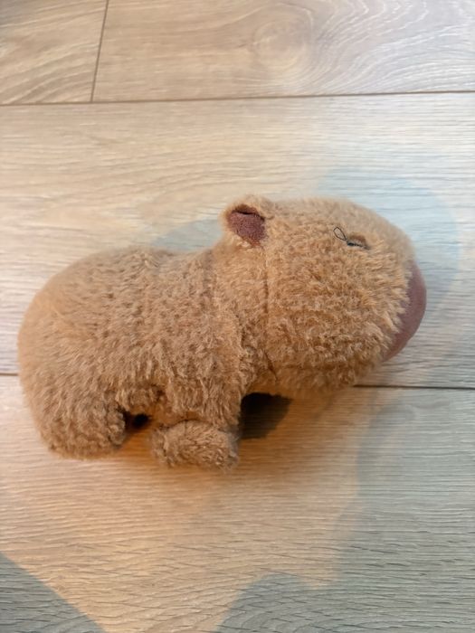 Pluszak kapibara na rękę