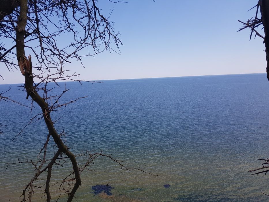 Продам фасадну ділянку біля моря 10 соток ділима