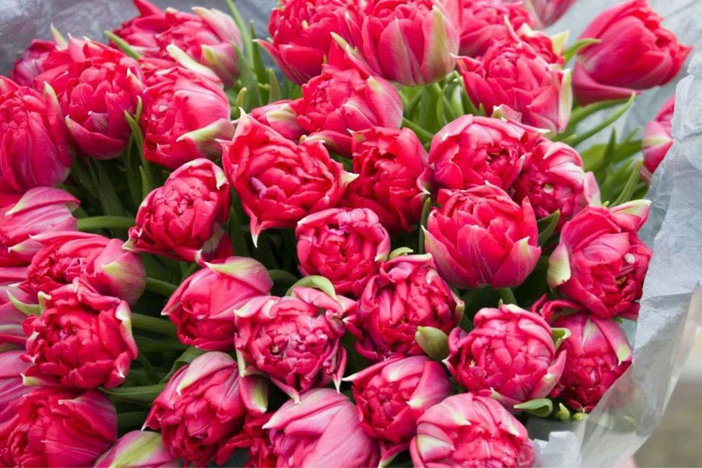 100кг- 50грн/кг, від 500 до 1т - 40 грн,від тонни по 30 грн