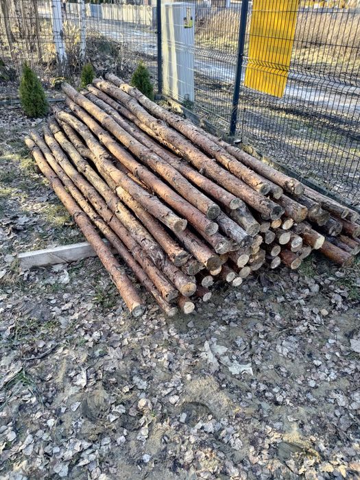 Stemple drewniane długość 300 - 330