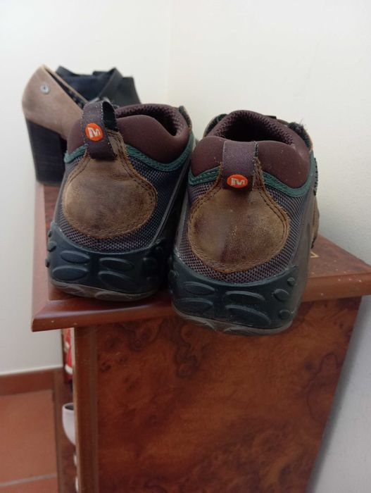 Sapatilhas Chamelleon 42