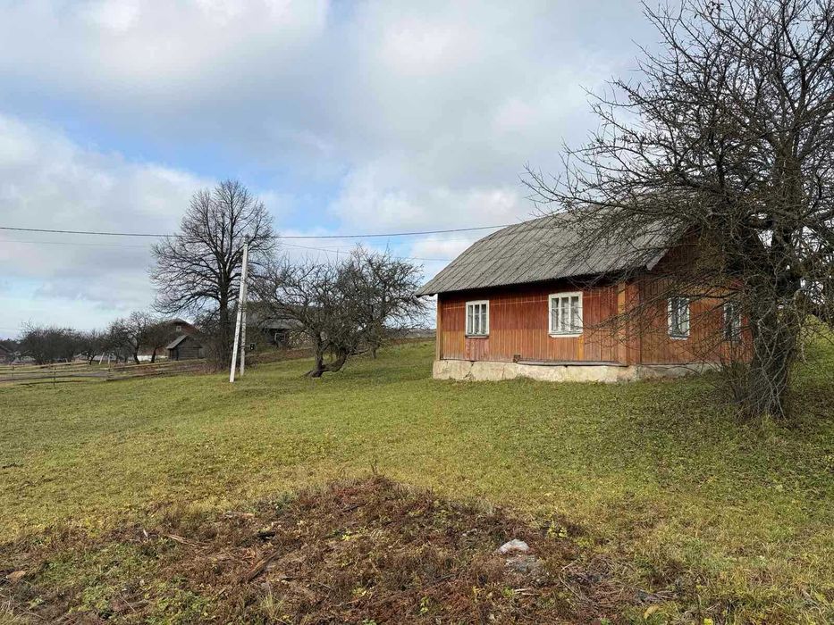 Будинок в Карпатах