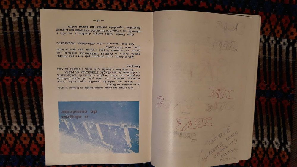 Mário Sardo - Construir a vida - portes incluídos