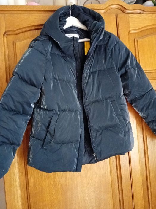 Kurtka damska holo cleve S