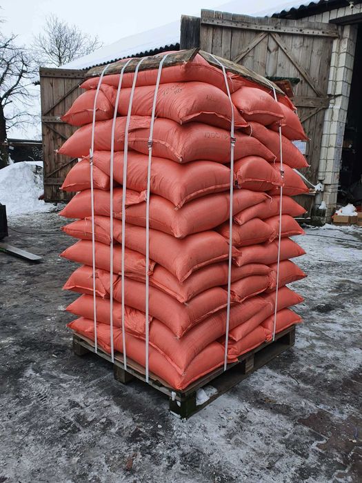 SŁONECZNIK ziarno słonecznika dla ptaków nasiona w łupinie dostawa DHL