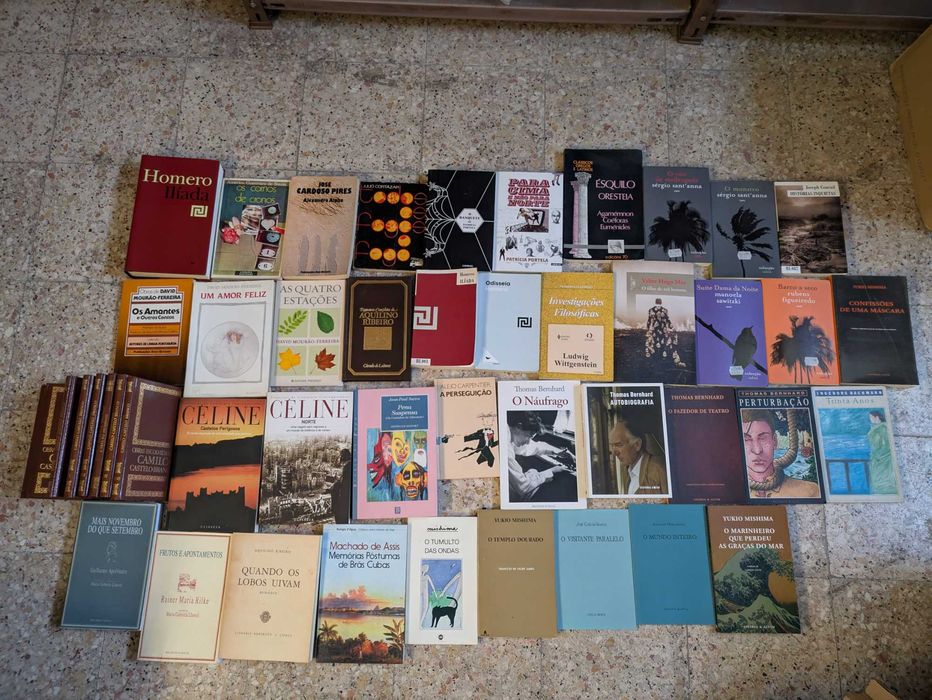 Livros em Português 1