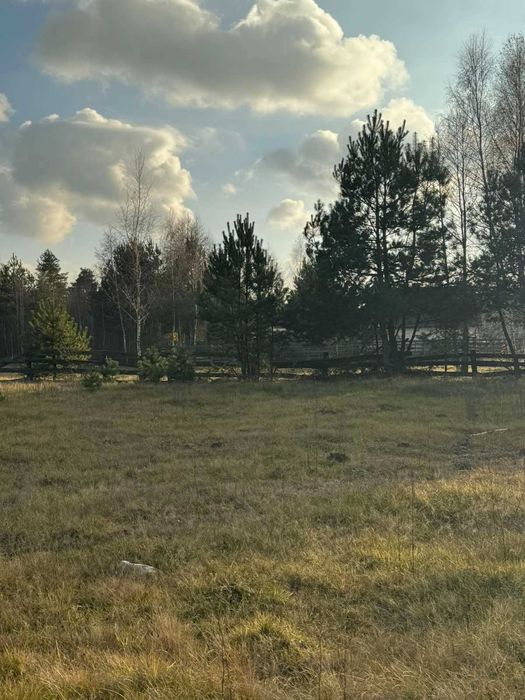 Земельна ділянка, с. Туринка