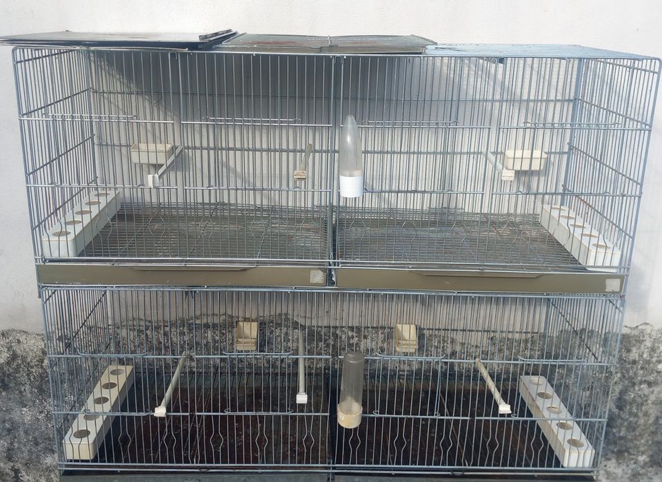 Viveiros duplos  criação