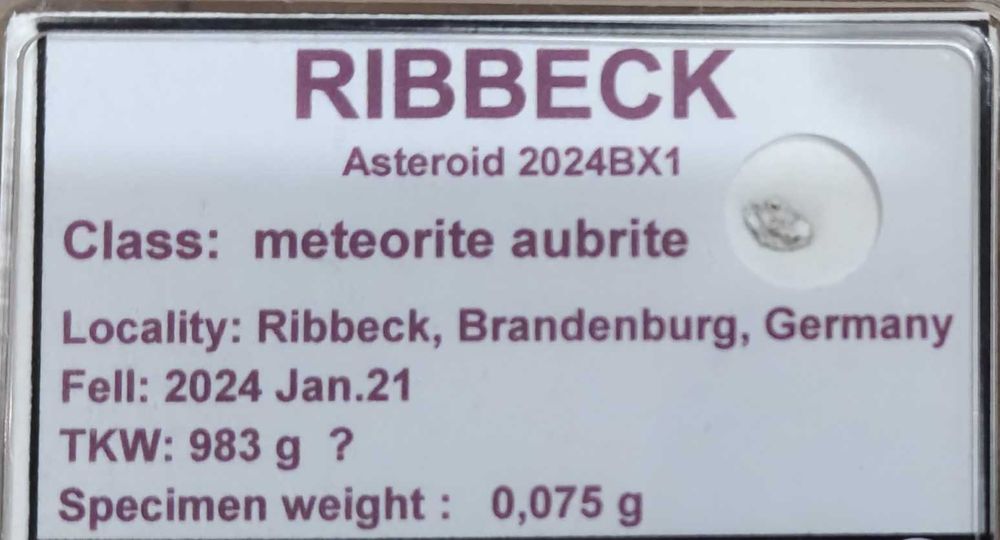 Meteoryt Ribbeck. Niemcy. Bardzo rzadki. 0,075 gram.
