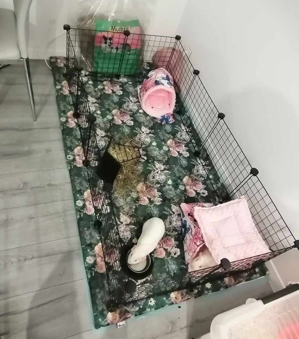 Mata 50 x 30 cm dla gryzonia świnki morskiej królika szynszyla szczura