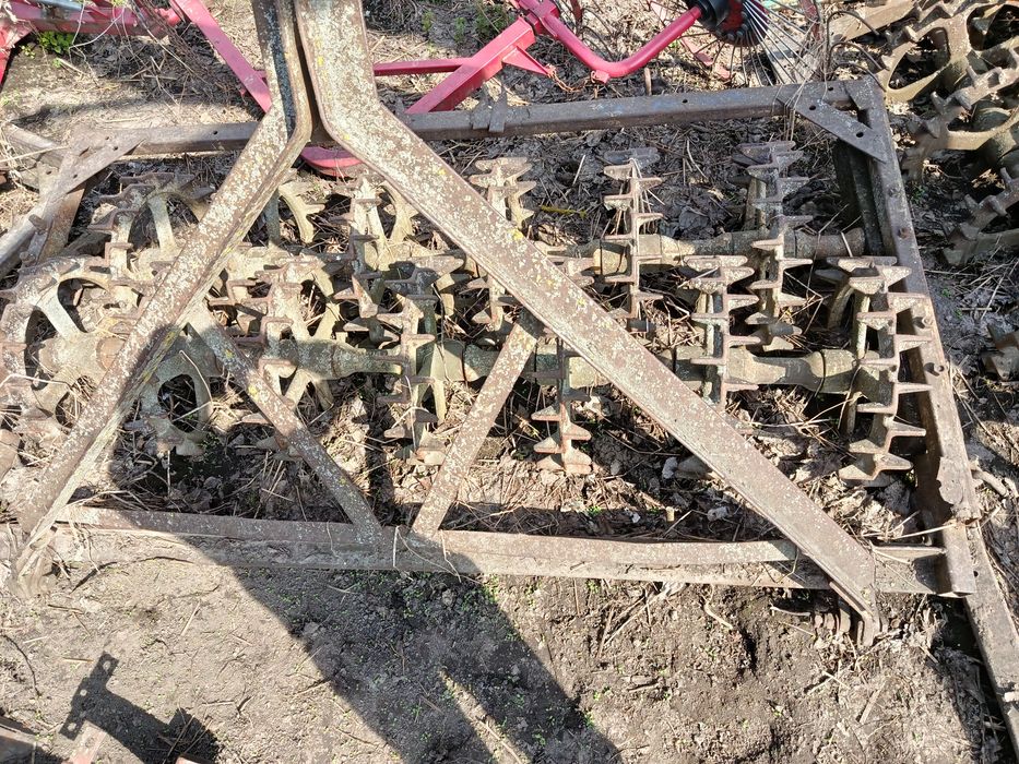 Продам котки ККШ