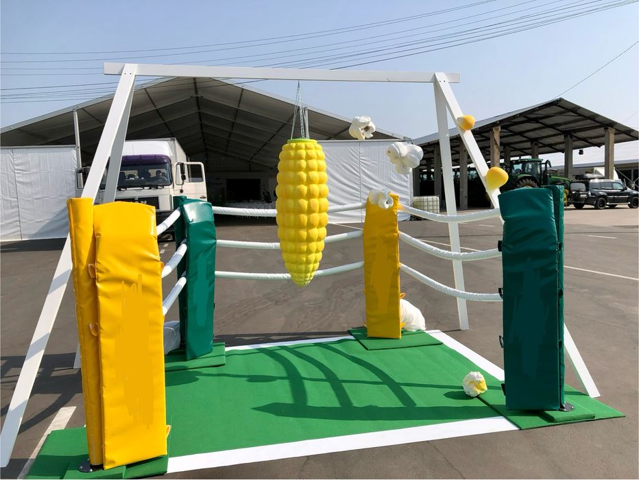 Комплектуючі до рингу: стовпи, подушки, канати