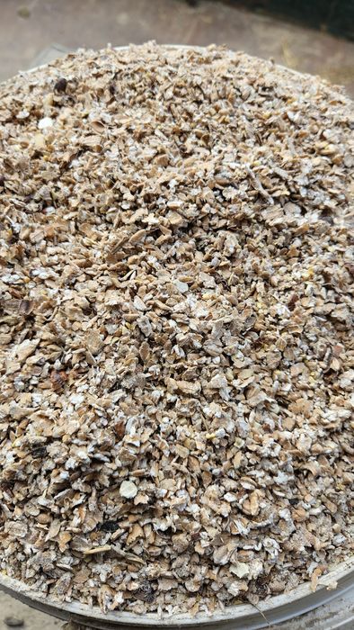 Gniecione ziarno pszenicy, mieszanka dla drobiu