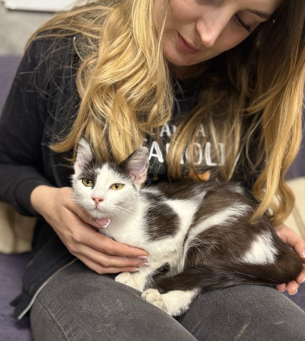 Młoda kotka Kiki rok