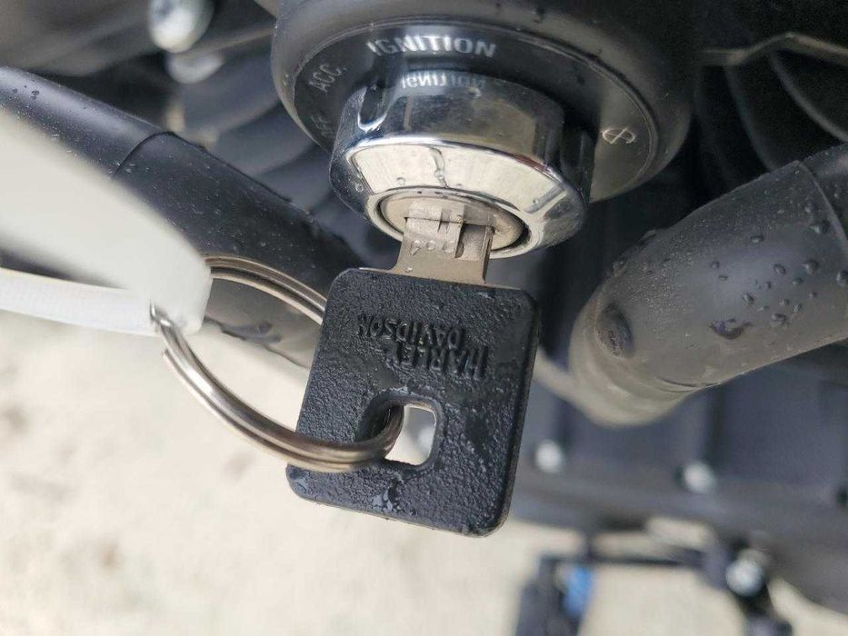 Harley-Davidson XL 1200 NS 2019