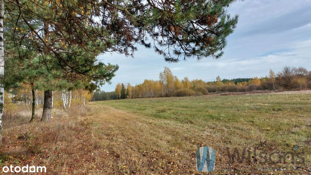 Pół bliźniaka z widokiem na las i łąki