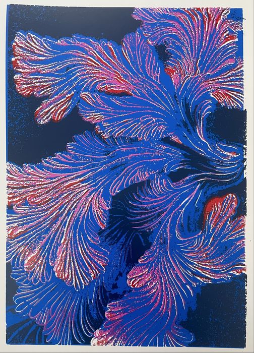 Sitodruk , serigrafia grafika grzyby