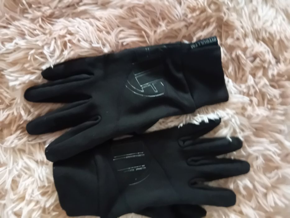 Pit Bull rękawiczki męskie