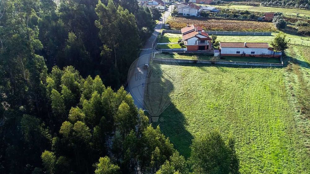 Oportunidade Única – Terreno Urbano em Aguada de Baixo, Águeda
