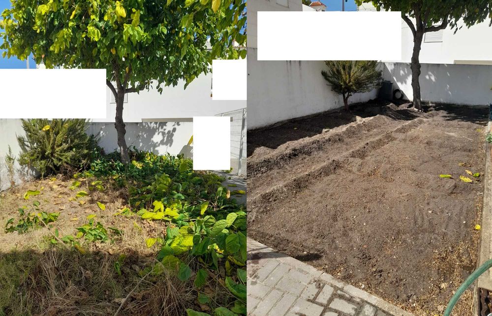 serviços de jardinagem