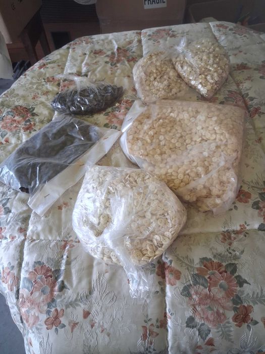 Botões de madrepérola e outros