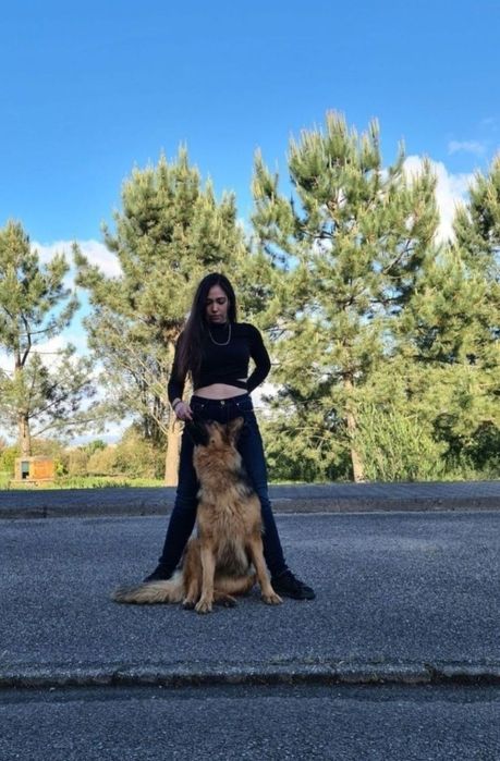 Treino de Cães/Pet-Sitting