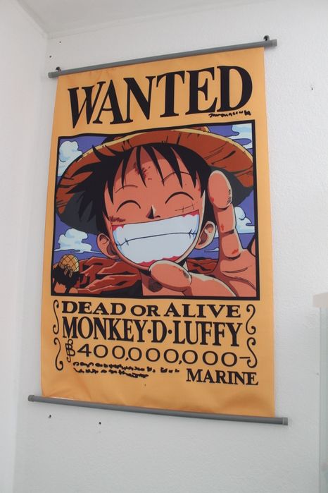 Colecção One Piece + Extras (ler tudo)