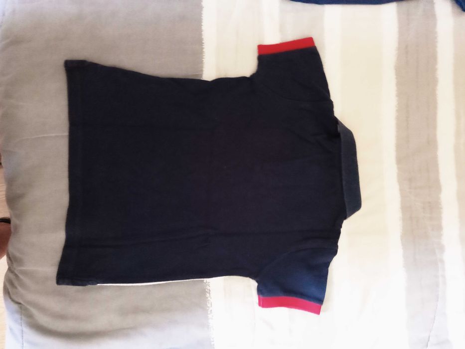 Polo Sacoor Brothers 4 anos