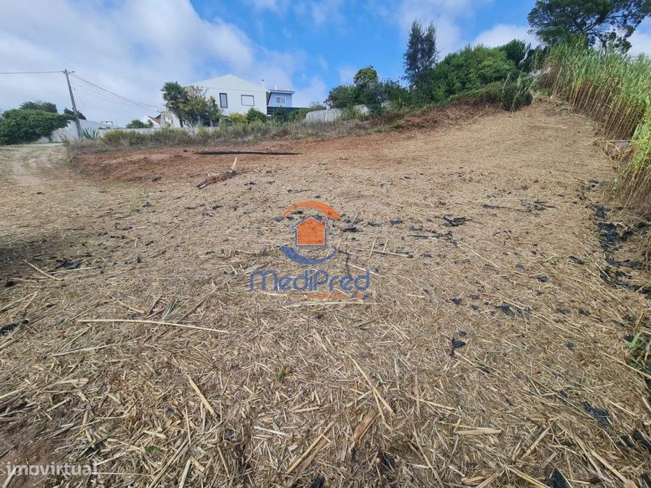 Terreno agrícola 6.000 m2 | A dos Cunhados, Torres Vedras