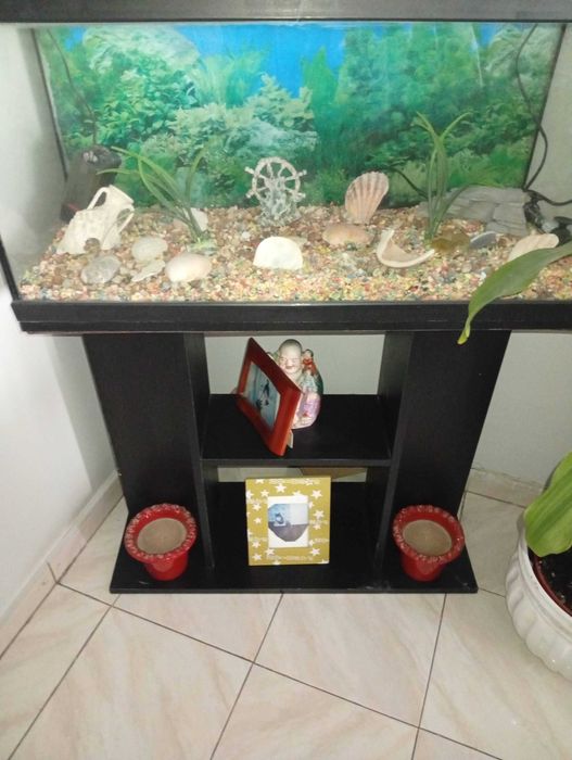 Aquário com móvel