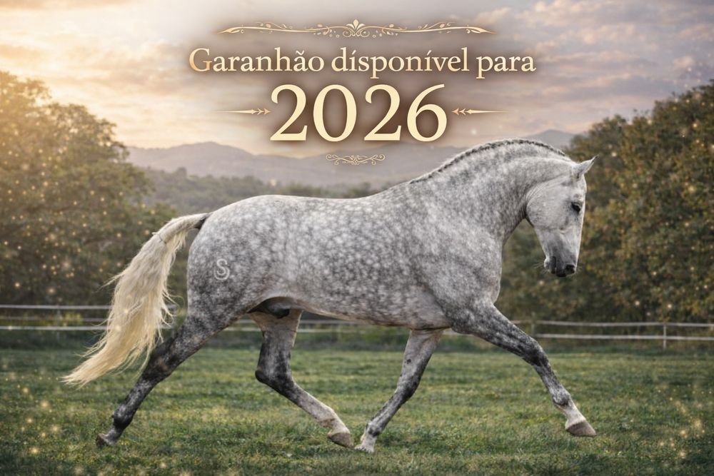Cavalos   pontuados