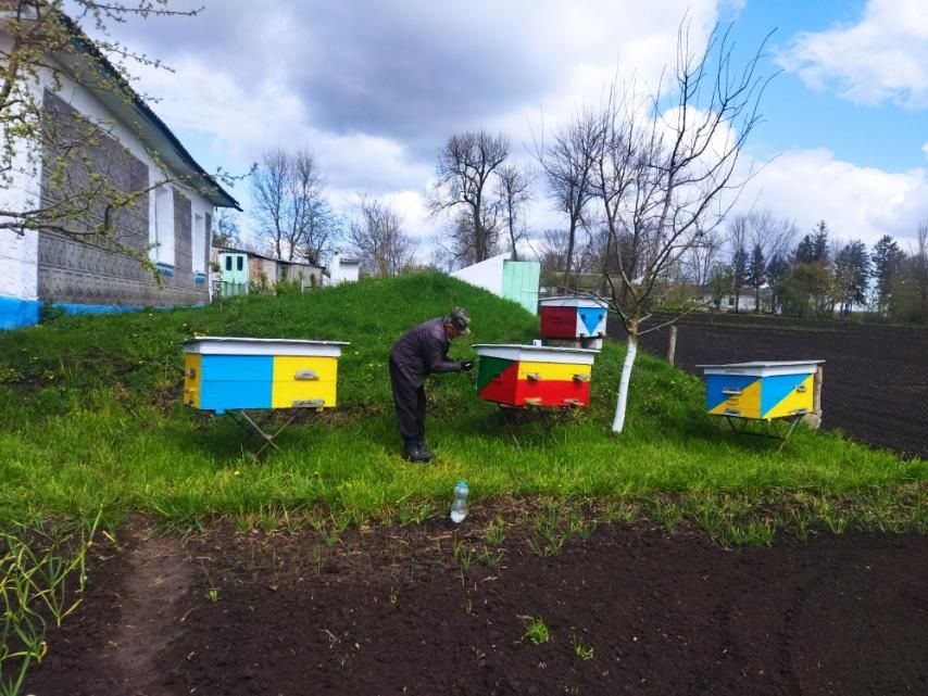 Продампасіку на даданівську рамку