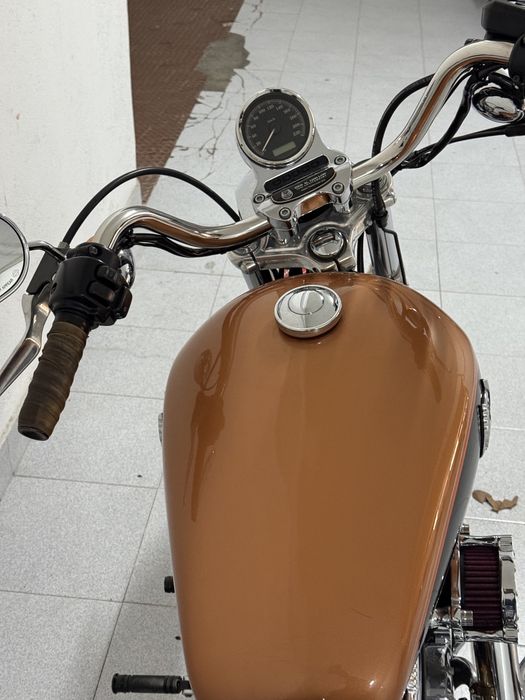 Harley Davidson sportster 1200 low 105 aniversario